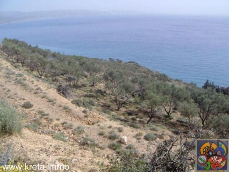Kokkinos Pirgos Kreta, Kokkinos Pirgos, Agia Galini, gr. Grundstück 130.000qm² mit Panorama Meerblick zu verkaufen Grundstück kaufen